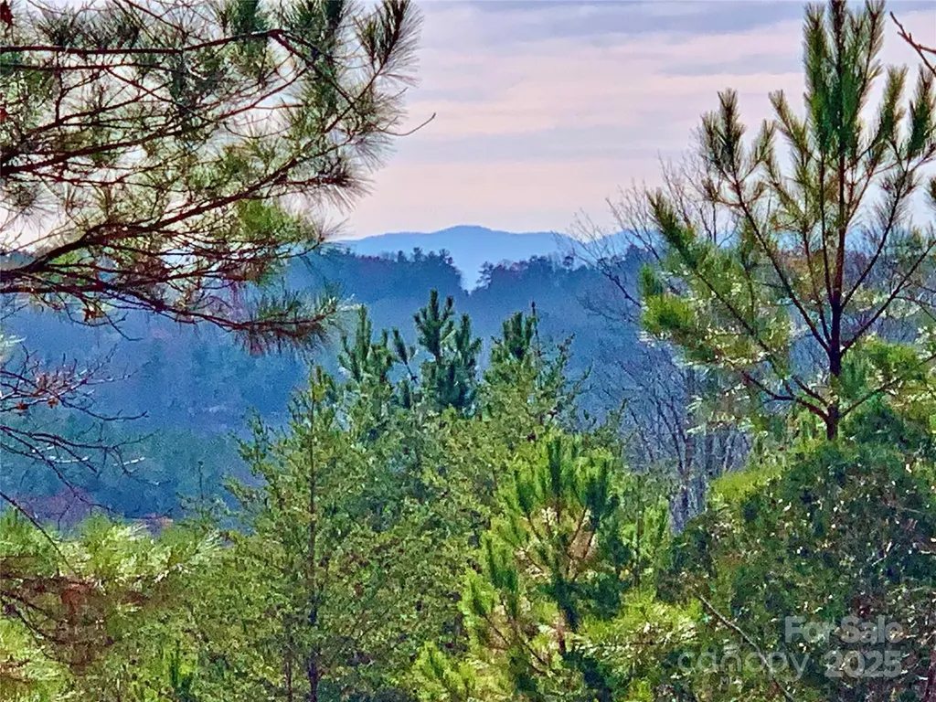 2.53 Acres, Lot 602 Low Valley Way Lenoir NC 28645
