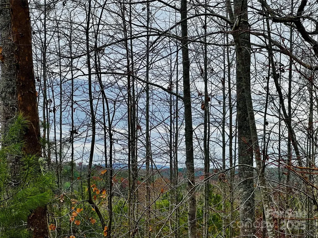 2.53 Acres, Lot 602 Low Valley Way Lenoir NC 28645