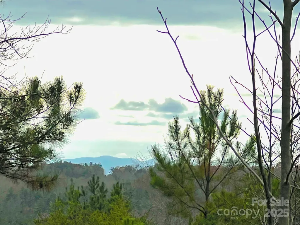 2.53 Acres, Lot 602 Low Valley Way Lenoir NC 28645