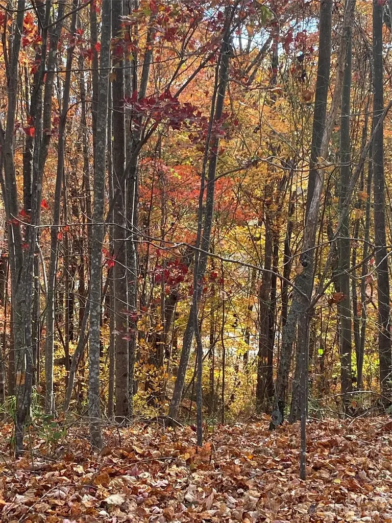 Tbd Meditation Ridge Drive Nebo NC 28761