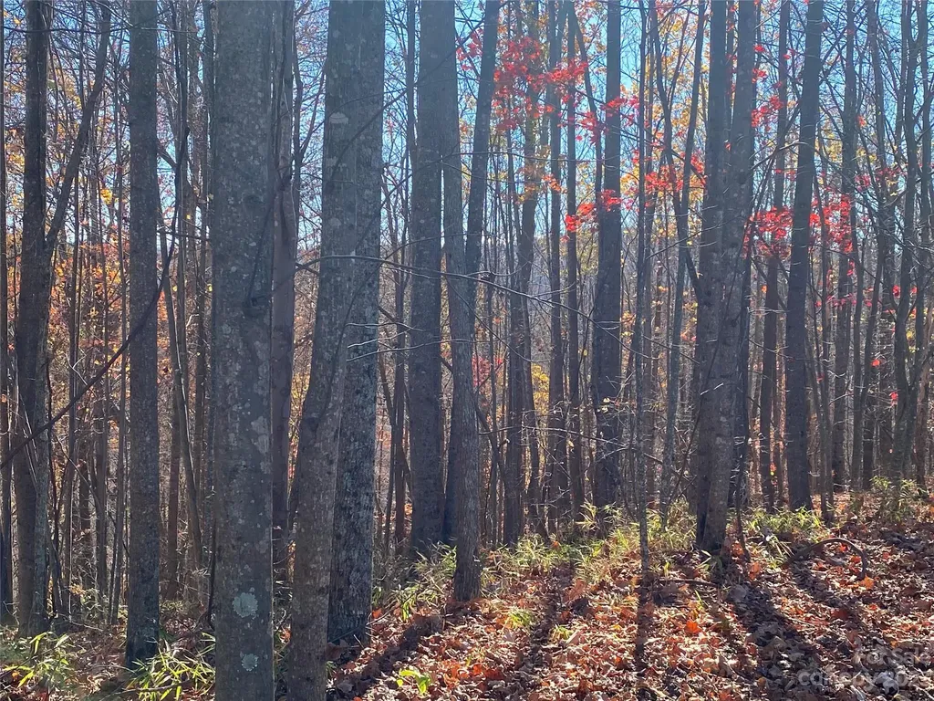 Tbd Meditation Ridge Drive Nebo NC 28761