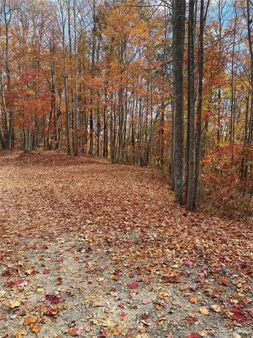 Tbd Meditation Ridge Drive Nebo NC 28761