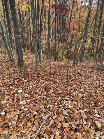 Tbd Meditation Ridge Drive Nebo NC 28761
