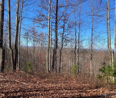 Tbd Meditation Ridge Drive Nebo NC 28761