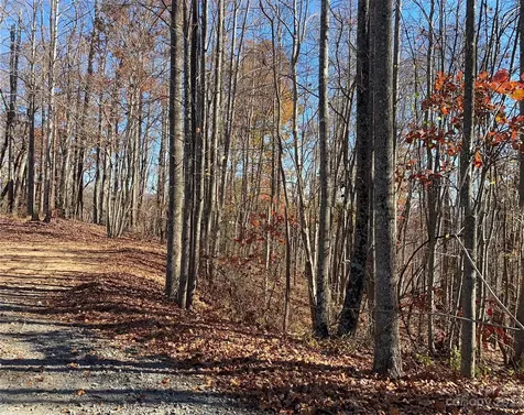 Tbd Meditation Ridge Drive Nebo NC 28761