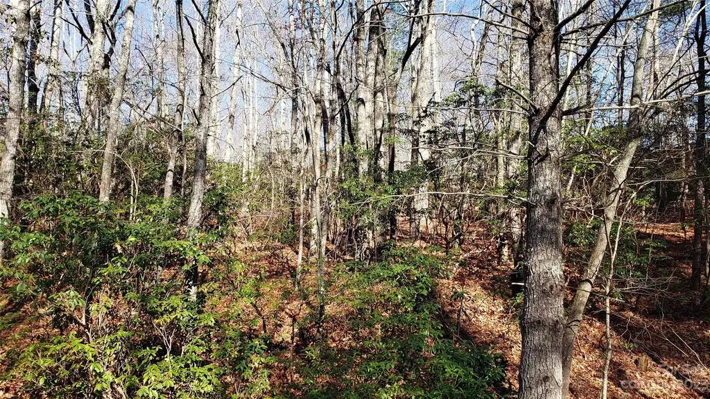 9999 Galax Lane Brevard NC 28712