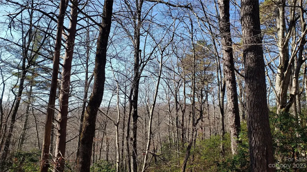 9999 Galax Lane Brevard NC 28712
