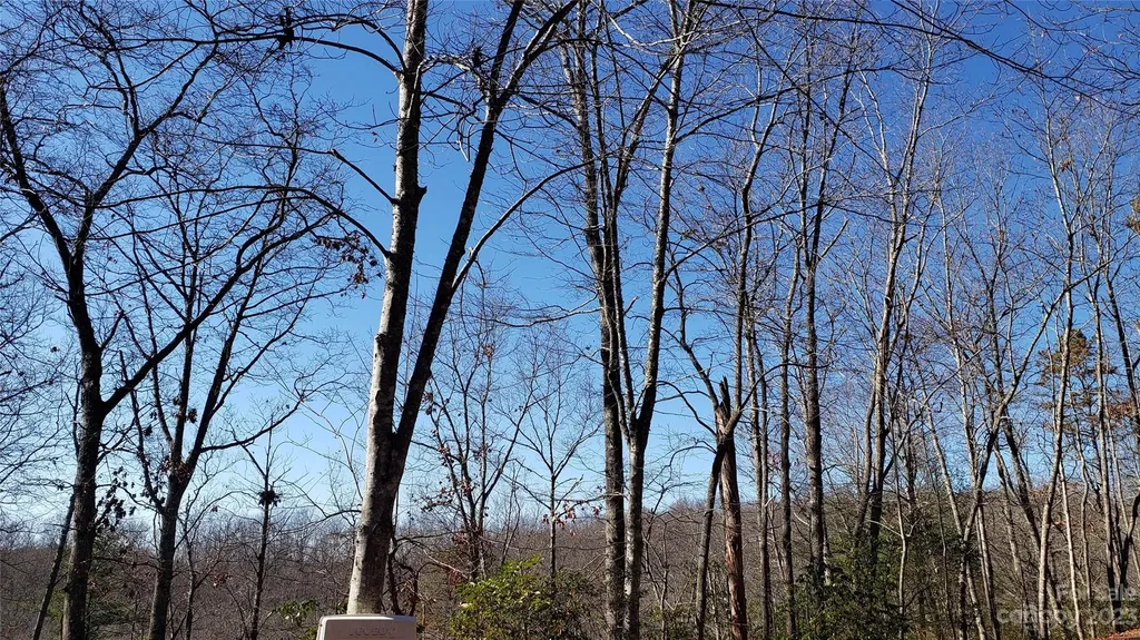 9999 Galax Lane Brevard NC 28712