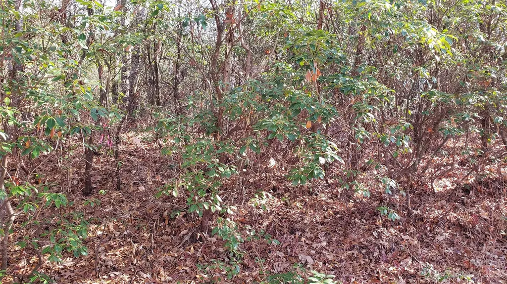 9999 Galax Lane Brevard NC 28712