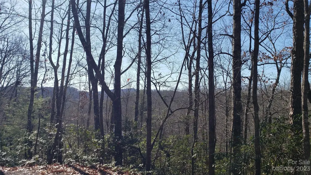 9999 Galax Lane Brevard NC 28712