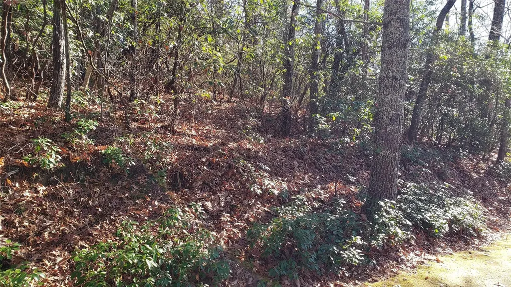 9999 Galax Lane Brevard NC 28712