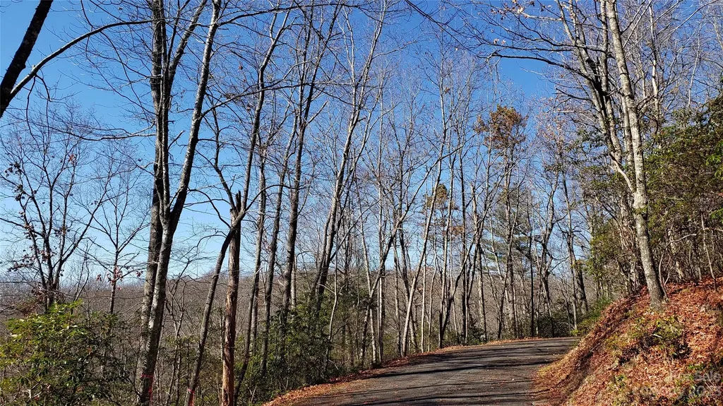 9999 Galax Lane Brevard NC 28712