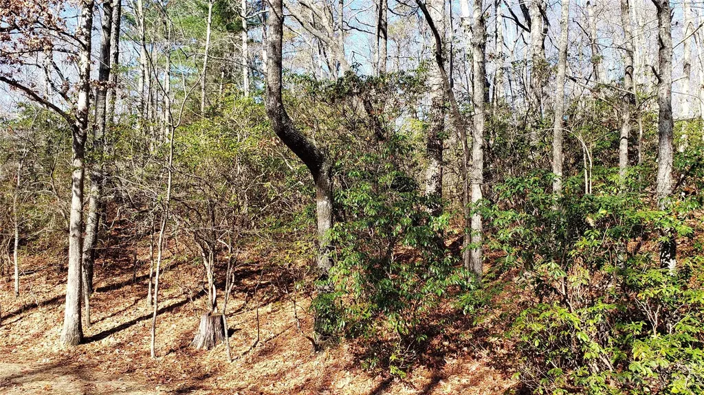 9999 Galax Lane Brevard NC 28712