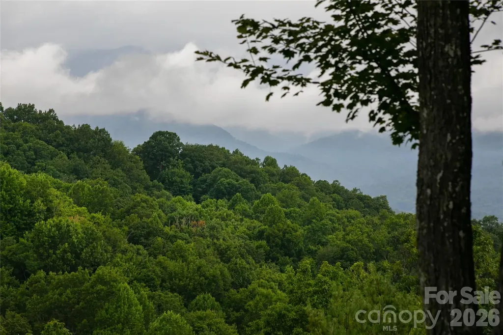264 Tinequa Drive Brevard NC 28712