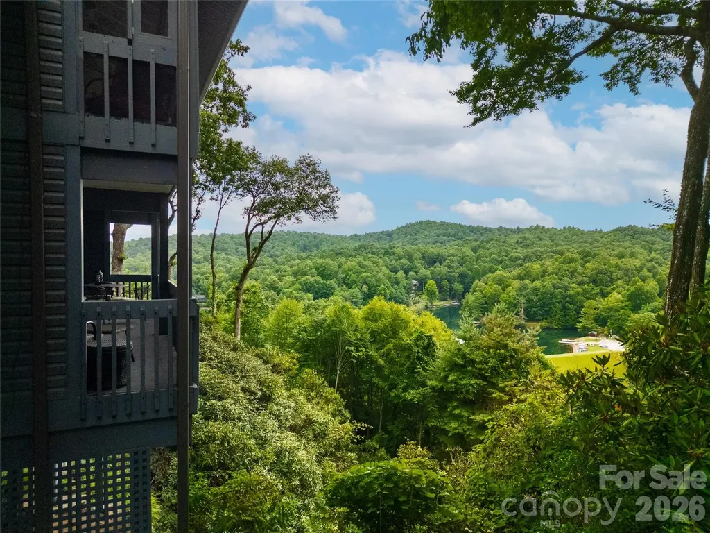 264 Tinequa Drive Brevard NC 28712