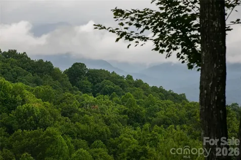 264 Tinequa Drive Brevard NC 28712