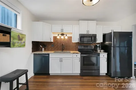 264 Tinequa Drive Brevard NC 28712