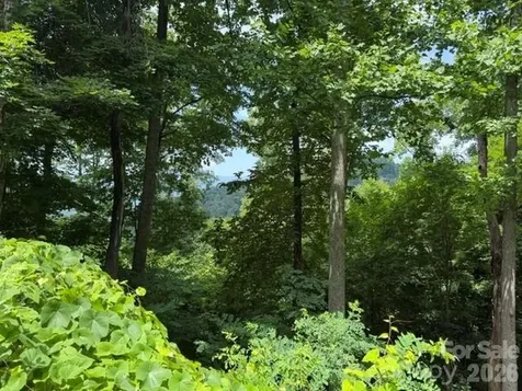 Lot 22 Spring Rock Road Burnsville NC 28714