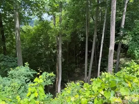 Lot 22 Spring Rock Road Burnsville NC 28714
