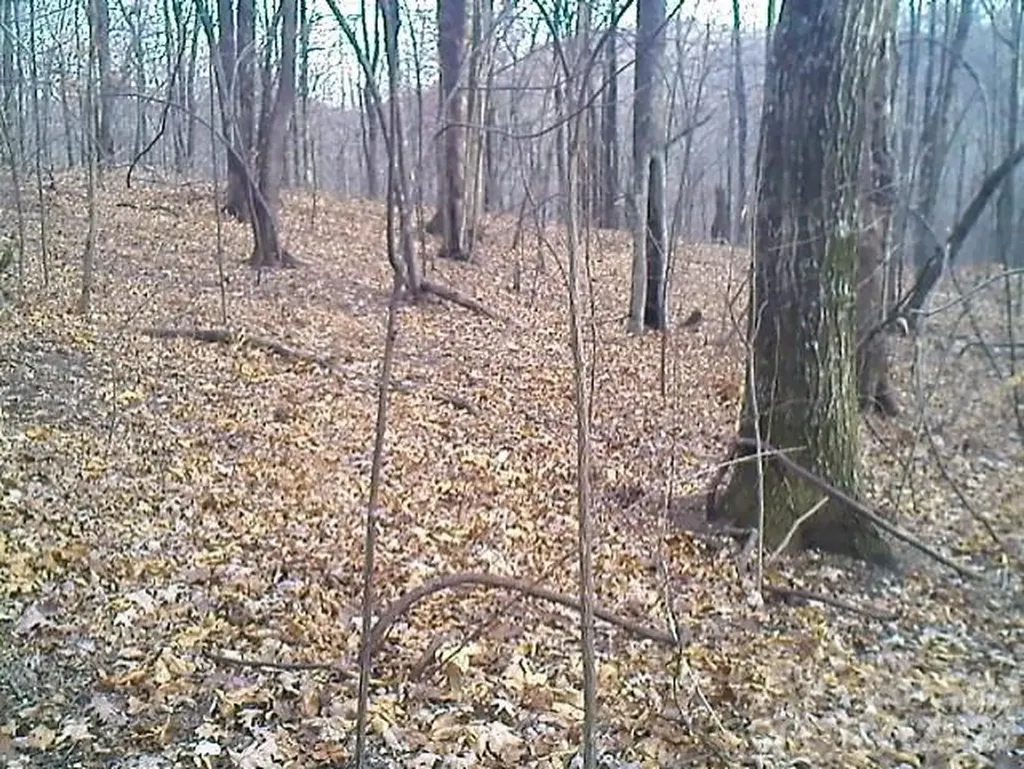 Lot 246 Glen Ridge Trail Lake Lure NC 28746