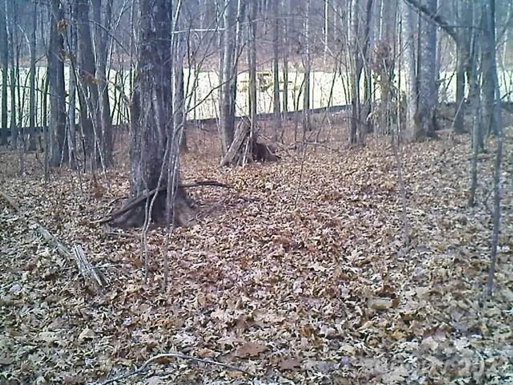 Lot 246 Glen Ridge Trail Lake Lure NC 28746