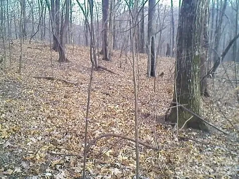 Lot 246 Glen Ridge Trail Lake Lure NC 28746