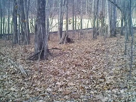 Lot 246 Glen Ridge Trail Lake Lure NC 28746