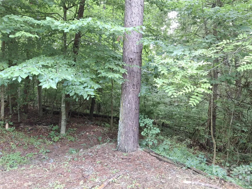 232 Tilson Drive Mars Hill NC 28754