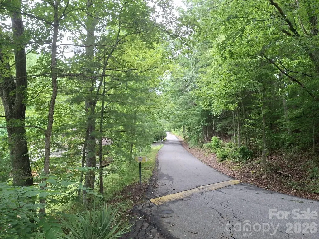 232 Tilson Drive Mars Hill NC 28754