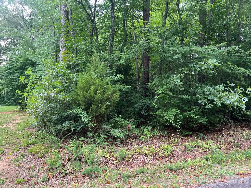 0 Eldon Lane Salisbury NC 28144