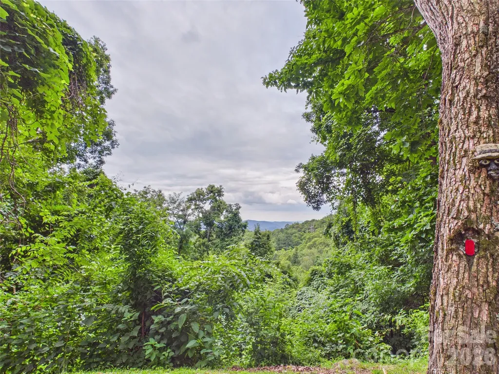 7904 Pinnacle Wind Lane Lenoir NC 28645