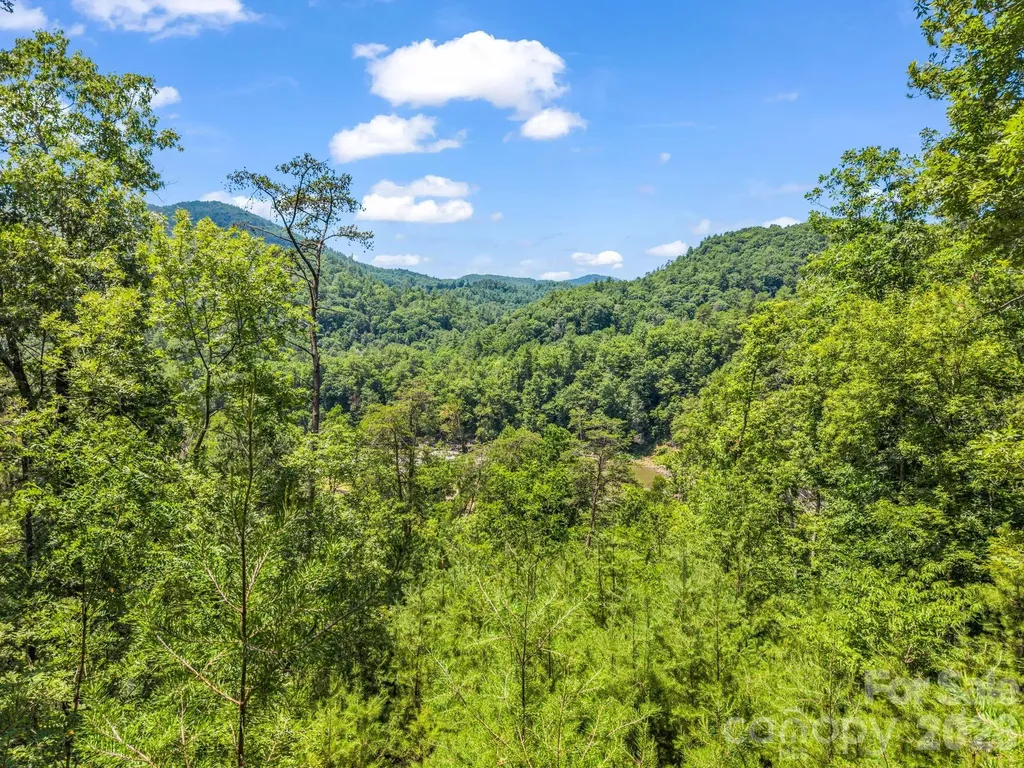 3670 French Broad Parkway Marshall NC 28753