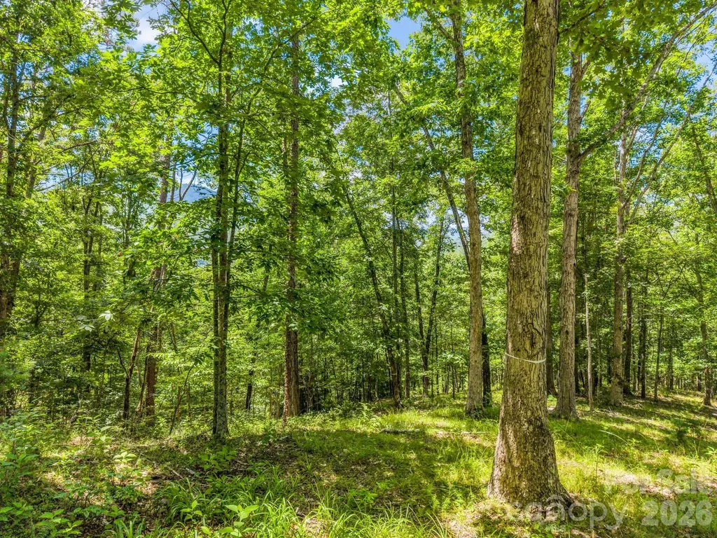 3670 French Broad Parkway Marshall NC 28753