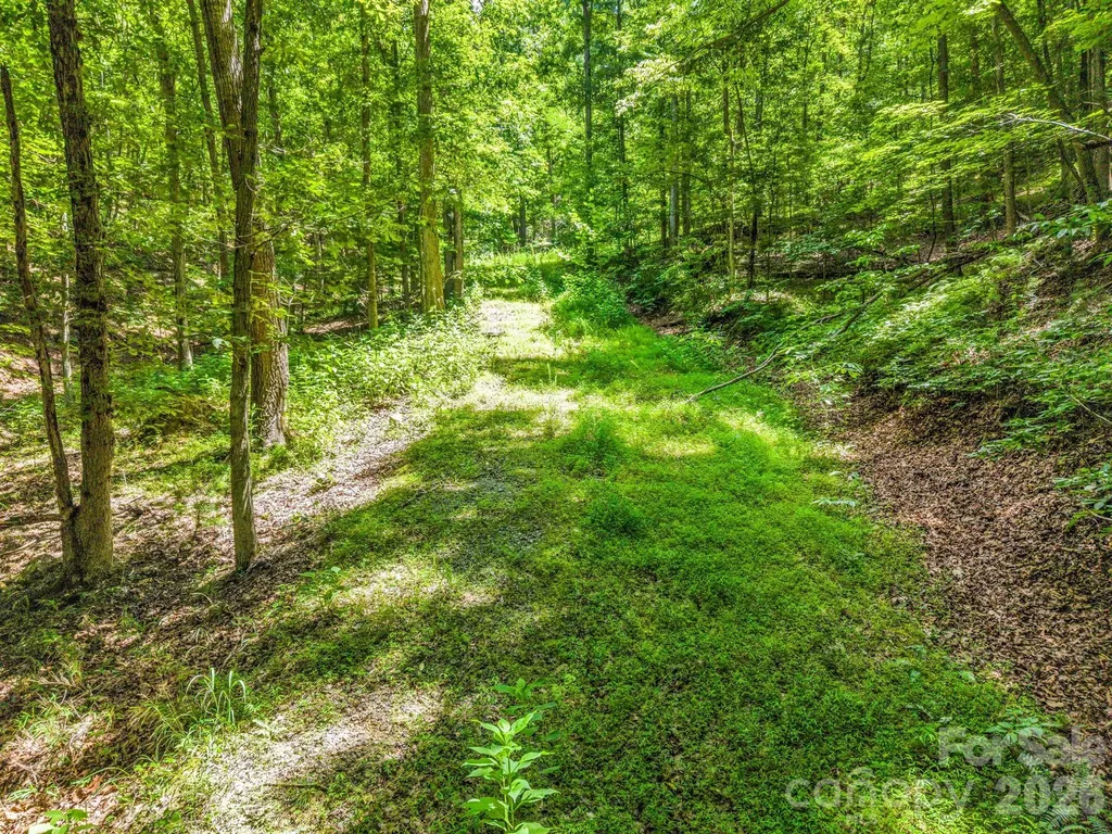 3670 French Broad Parkway Marshall NC 28753