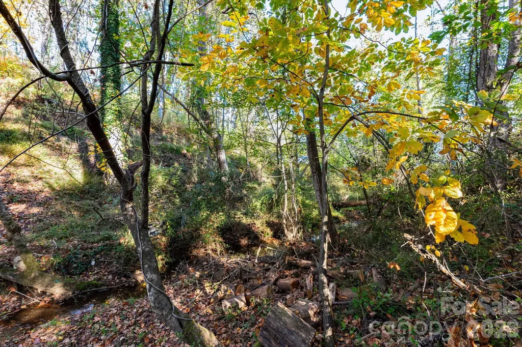 30 Waynesville Avenue Asheville NC 28806