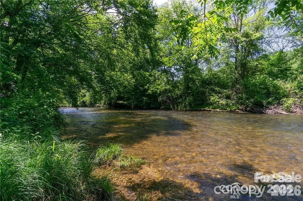 99999 Mills River Way Horse Shoe NC 28742