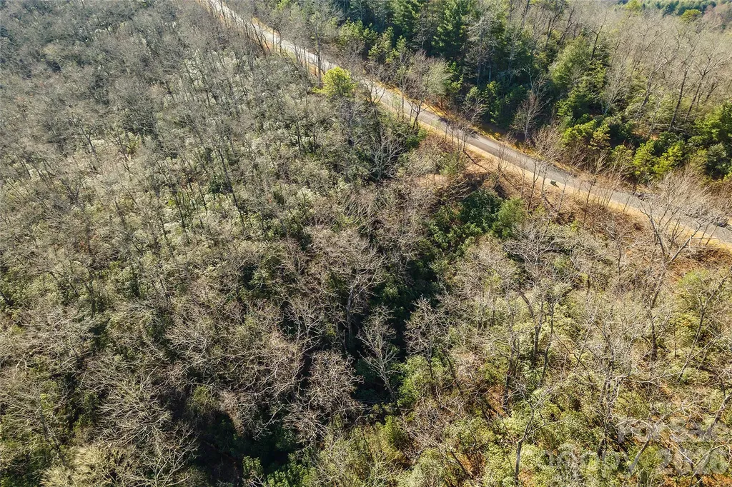 99999 Mills River Way Horse Shoe NC 28742