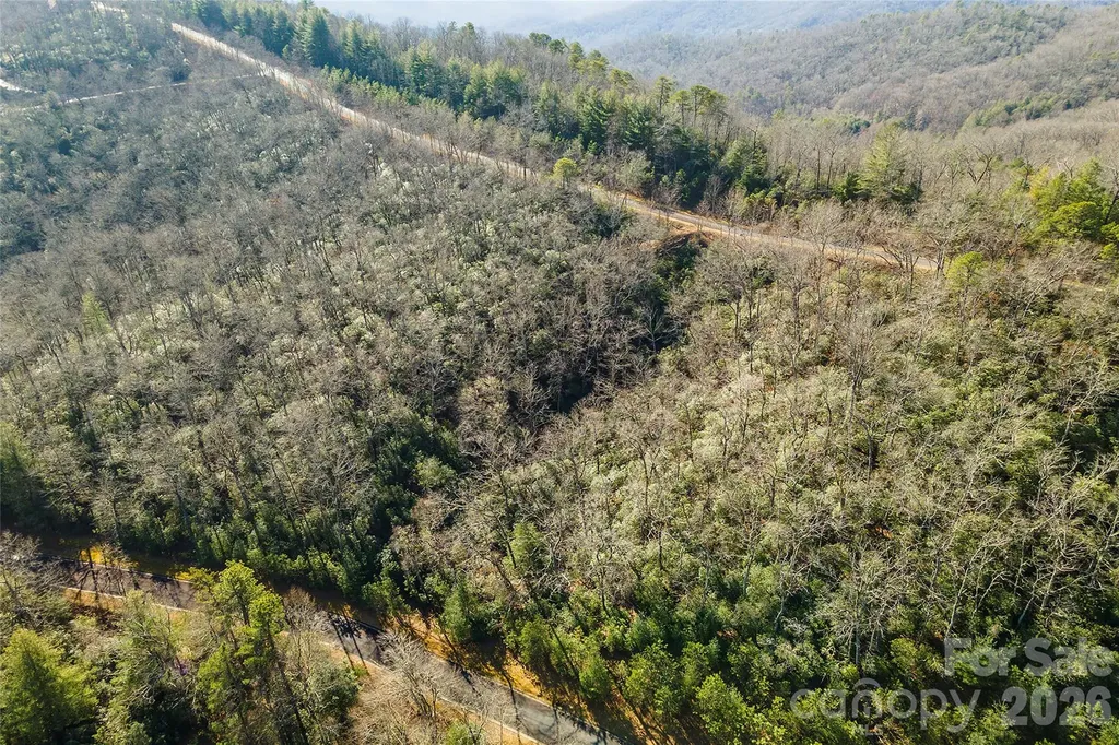 99999 Mills River Way Horse Shoe NC 28742
