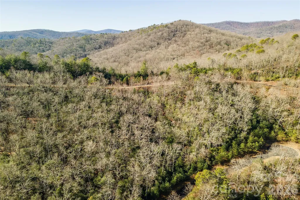 99999 Mills River Way Horse Shoe NC 28742