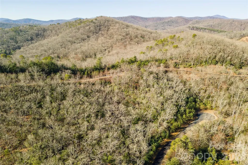 99999 Mills River Way Horse Shoe NC 28742