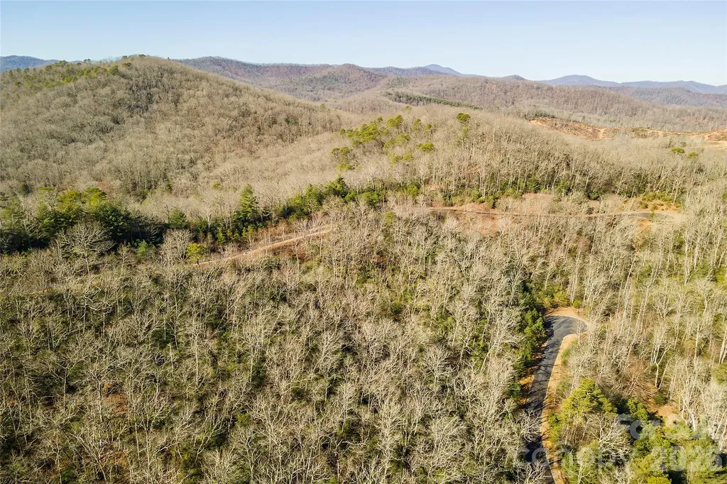 99999 Mills River Way Horse Shoe NC 28742