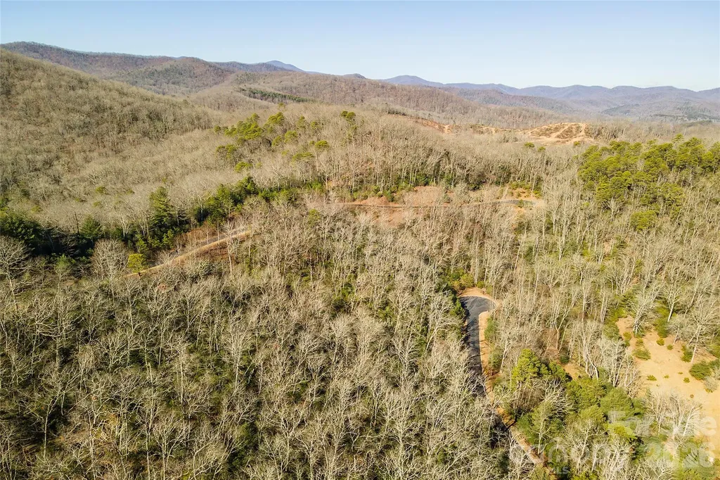 99999 Mills River Way Horse Shoe NC 28742