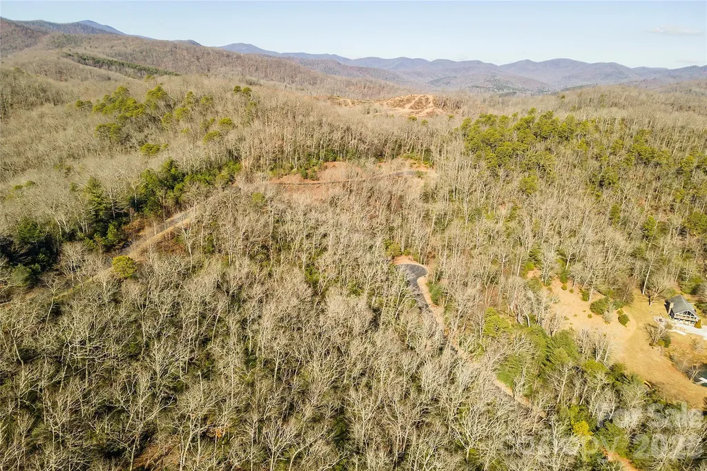 99999 Mills River Way Horse Shoe NC 28742
