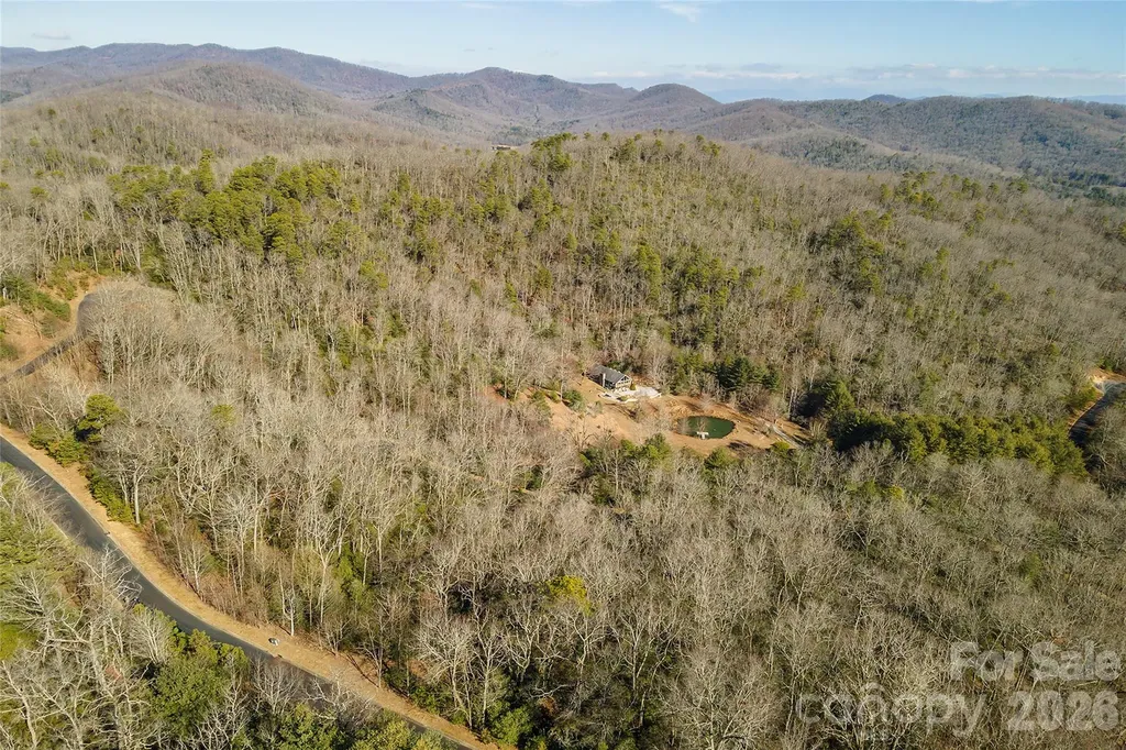 99999 Mills River Way Horse Shoe NC 28742