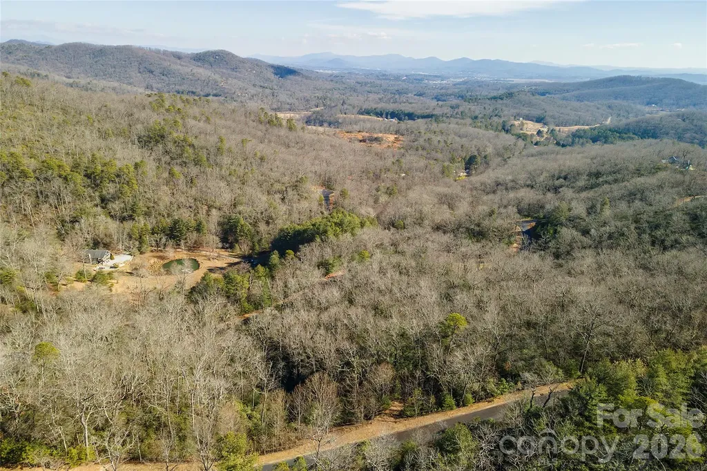 99999 Mills River Way Horse Shoe NC 28742