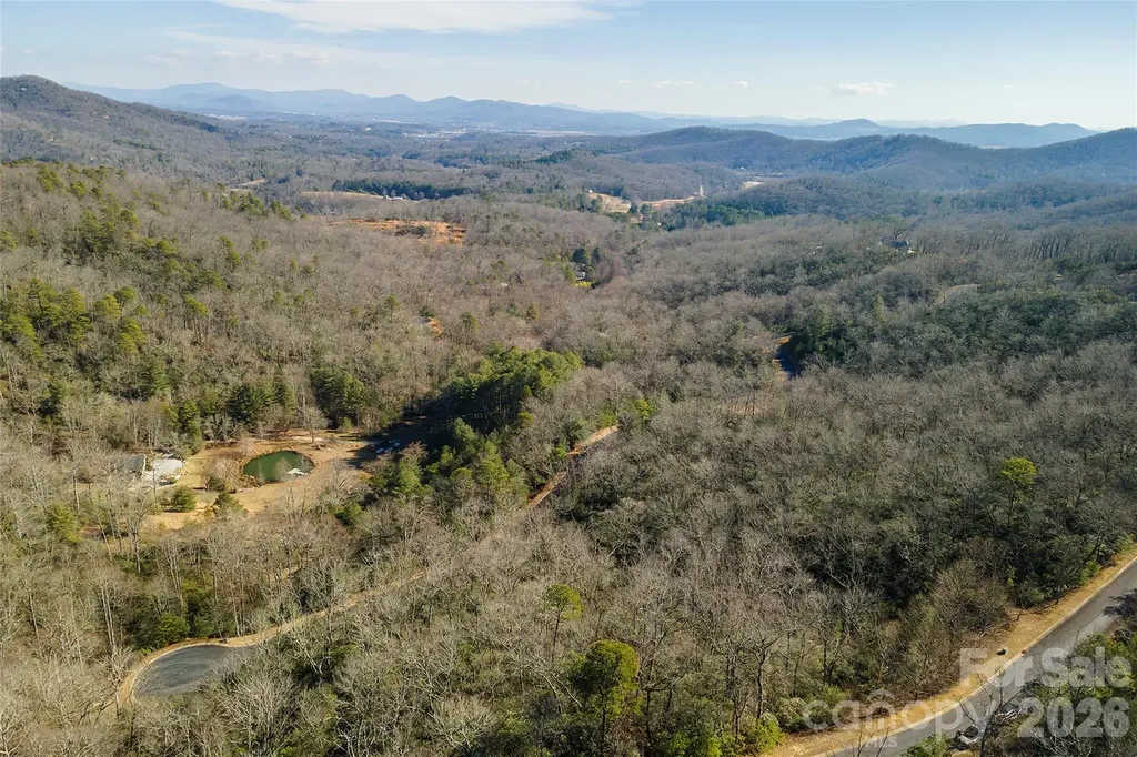 99999 Mills River Way Horse Shoe NC 28742