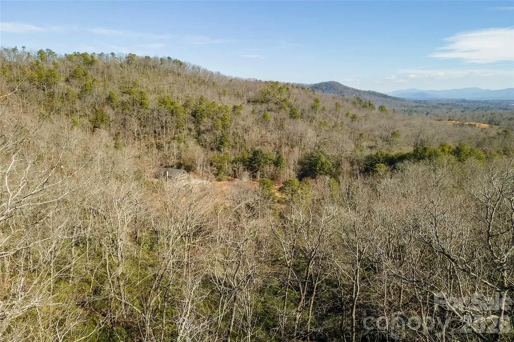 99999 Mills River Way Horse Shoe NC 28742