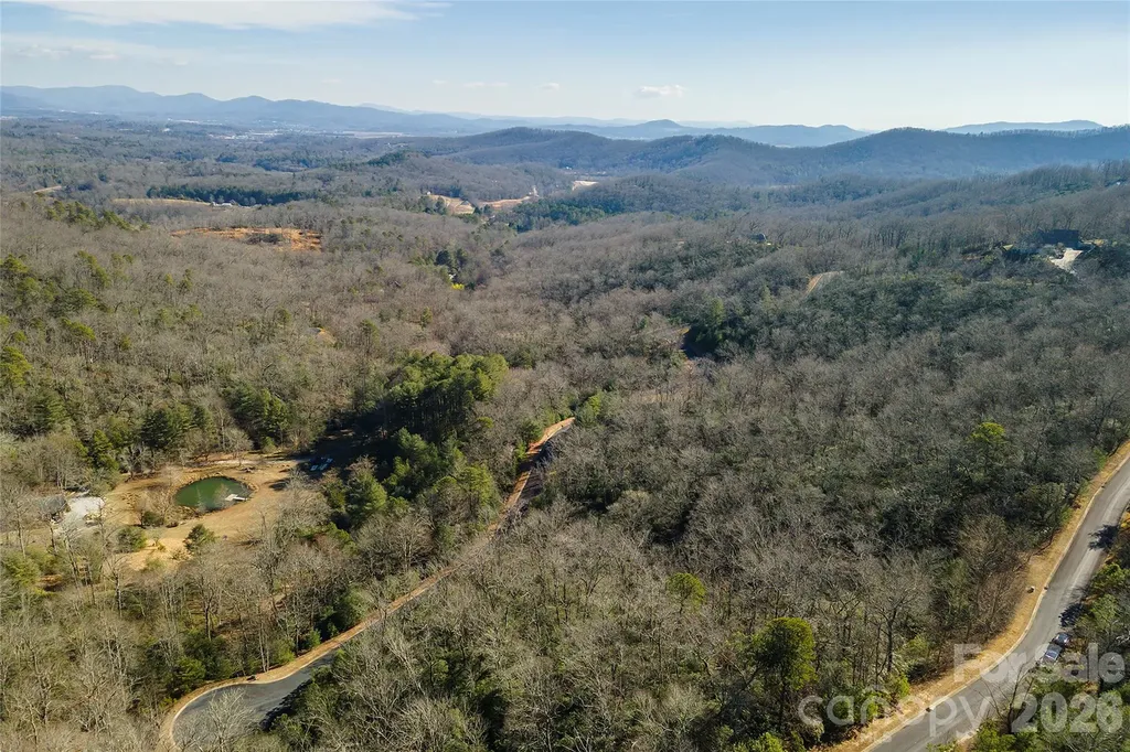 99999 Mills River Way Horse Shoe NC 28742
