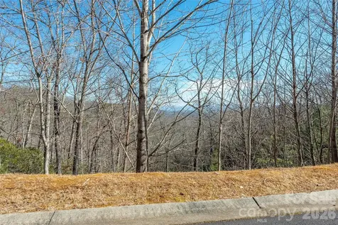 99999 Mills River Way Horse Shoe NC 28742