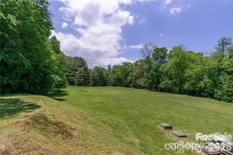 99999 Mills River Way Horse Shoe NC 28742